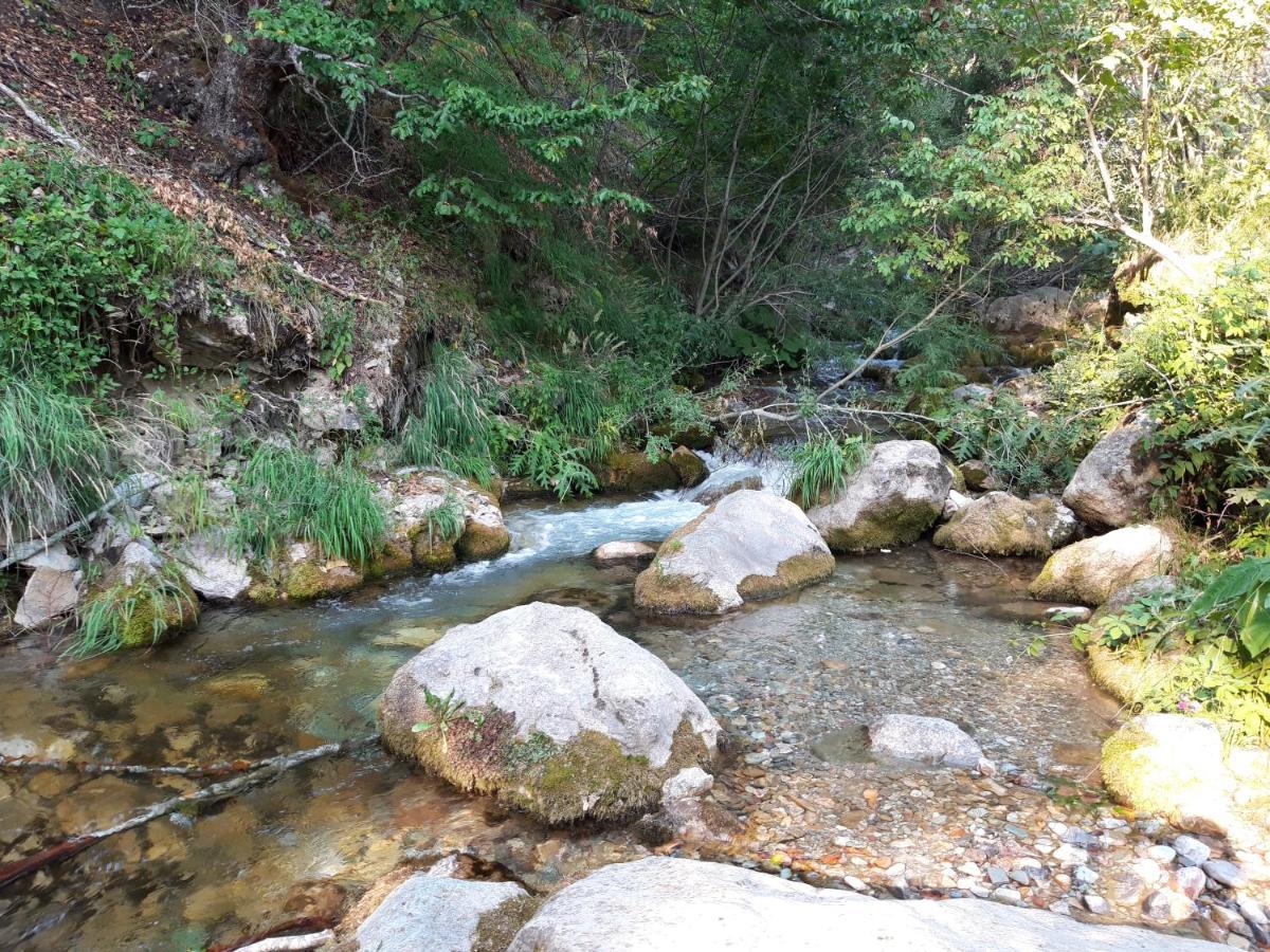 Kuca Za Odmor Grujic Villa Kolašin Esterno foto